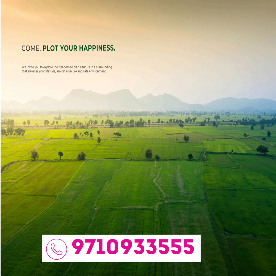 Arvind Greenfield Photos