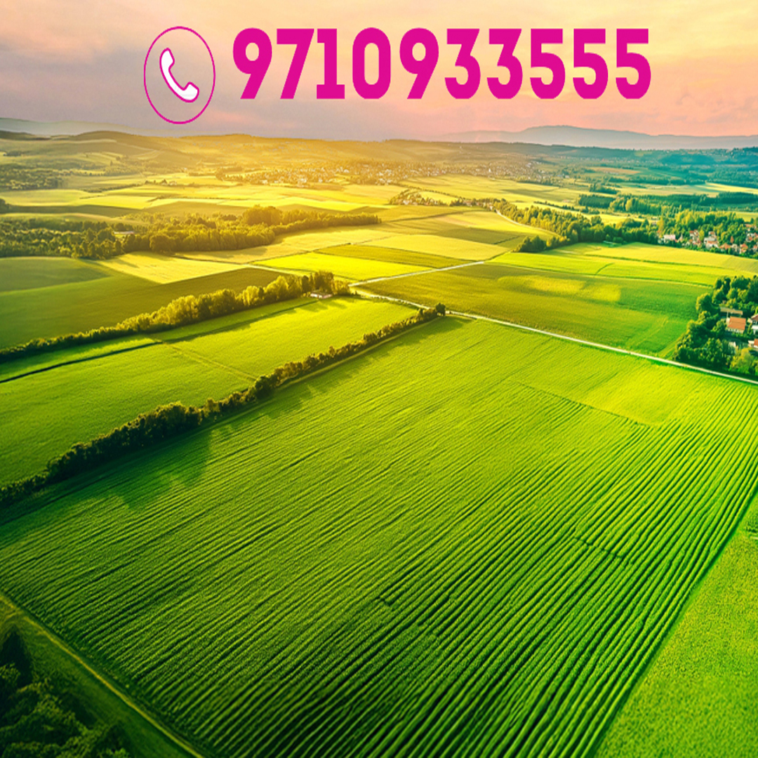 Arvind Greenfield Photos